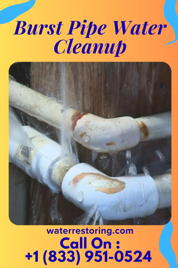 Burst Pipe Water Cleanup in Stringtown, OK