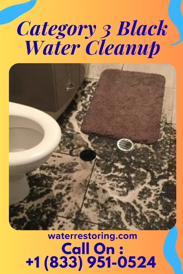 Category 3 Black Water Cleanup in Stringtown, OK